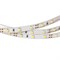 Лента RT2-3528-60-12V White (300 LED) (NormaLED, 4.8 Вт/м, IP20) 014383 - фото 43069