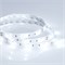 Лента RTW 2-5000SE 12V Cool (5060, 150 LED, LUX) (arlight, 7.2 Вт/м, IP65) 016834 - фото 43220