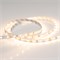 Лента RT 2-5000 12V Warm2700 (3528, 300 LED, LUX) (arlight, 4.8 Вт/м, IP20) 010597(B) - фото 44324
