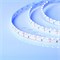 Лента RS 2-5000 12V Blue 2x (335, 600 LED) 2000000243467 - фото 44372