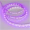 Лента RT 2-5000 12V Pink (3528, 300 LED, LUX) (arlight, 4.8 Вт/м, IP20) 013571 - фото 44467