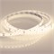 Лента RTW 2-5000SE 24V 2X Warm3000 (2835, 600 LED, PRO) (arlight, 14.4 Вт/м, IP65) 020532(1) - фото 44620