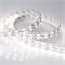 Лента RT 2-5000 24V Day White 2x2(5060,600LED,LUX) 013759 - фото 44781