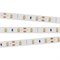 Лента RT 2-5000 12V Warm3000 (2835, 300 LED, PRO) (arlight, 7.2 Вт/м, IP20) 020019(B) - фото 44810