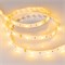 Лента RTW 2-5000SE 12V Yellow (5060, 150 LED, LUX) (arlight, 7.2 Вт/м, IP65) 016509 - фото 45227
