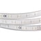 Лента ARL-W5060PG-54-220V Green (540 LED, 10m) 020453 - фото 45284