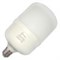 Лампа FL-LED T100 30W t<+40°C E27  6400К  2800Lm   220В-240V  D100x191     FOTON_LIGHTING  - 606624 - фото 45435