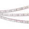 Лента RTW 2-5000PGS 12V Blue 2x (3528, 600 LED) (arlight, 9.6 Вт/м, IP67) 013392 - фото 45621