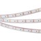 Лента RTW 2-5000PGS 12V Blue 2x (3528, 600 LED) (arlight, 9.6 Вт/м, IP67) 013392 - фото 45622