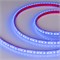 Лента RTW 2-5000PGS 12V Blue 2x (3528, 600 LED) (arlight, 9.6 Вт/м, IP67) 013392 - фото 45625