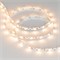 Лента RZ 2-5000 12V Warm2700 2x (5060, 240 LED, Wave) (arlight, 11.5 Вт/м, IP20) 018210 - фото 45669