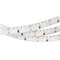 Лента RSW 2-5000SE 12V Blue 2x (335, 600 LED, LUX) 2000000243108 - фото 45684