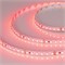 Лента RT 2-5000 24V Red 2х (3528, 600 LED, LUX) (arlight, 9.6 Вт/м, IP20) 008781(B) - фото 45753