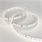Лента RT 2-5000 24V 2X Neutral White (2835, 600 LED, CRI98) Arlight 021403 - фото 45864