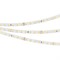 Лента RT 2-5000 24V 1.6X Warm3000 (2835, 490 LED, PRO) 019915 - фото 45922