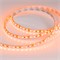 Лента RT 2-5000 12V Orange 2X (3528, 600 LED, LUX) (arlight, 9.6 Вт/м, IP20) 015902 - фото 45960