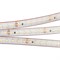 Лента RTW 2-5000PS 24V Warm3000 2x (3528, 600 LED, LUX) (arlight, 9.6 Вт/м, IP67) 021462 - фото 46943
