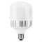 Лампа светодиодная LED 40вт Е27/Е40 белый (LB-65) 25819-1