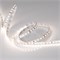 Лента RT 2-5000 24V Day4000 2x (2835, 600 LED, PRO) (arlight, 14.4 Вт/м, IP20) 015698(B) - фото 52438