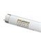 Лампа SYLVANIA  F   15W/  T8/BL368 G13 Quantum   d26x437 355-385nm ловушки насекомых - 0000082 - фото 54131