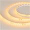 Лента RTW 2-5000SE 24V Yellow 2x (3528, 600 LED, LUX) (arlight, 9.6 Вт/м, IP65) 015132 - фото 54510