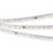 Лента ARL-10000PV-5060-54-230V Warm3000 (15mm, 8W, IP65) (arlight, 8 Вт/м, IP65) 029402 - фото 57618