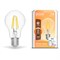 Лампа Gauss Smart Home Filament А60 7W 806lm 2700К E27 диммируемая LED 1/10/40 1200112 - фото 57866