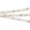 Лента RT 2-5000 12V Day White (3528, 300LED, CRI98) Arlight 021419-1 - фото 60275