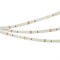 Лента RT 2-5000 24V 2X Day White (2835,600LED,CRI98) Arlight 021410(2) - фото 61100