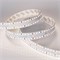 Лента S2-2500 24V Day 4000K 20mm (2835, 280 LED/m, LUX) (arlight, 20 Вт/м, IP20) 021198(1)