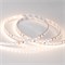 Лента RT 2-5000 24V Warm2700 2x (3528, 600 LED, CRI98) (arlight, 9.6 Вт/м, IP20) 021417(B) - фото 62165