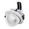 Светильник LTD-EXPLORER-R130-20W Warm3000 (WH, 38 deg) (Arlight, IP20 Металл, 3 года) 024031 - фото 69488