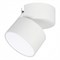 Светильник SP-RONDO-FLAP-R110-25W Warm3000 (WH, 110 deg) (Arlight, IP40 Металл, 3 года) 028161 - фото 69505