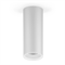 Светильник Gauss Overhead накл цил 12W 920lm 4100K 170-240V IP20 79*200мм белый LED 1/30 HD013 - фото 71198