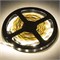 Светодиодная лента на катушке Ecola LED strip PRO 19W/m 12V IP20 10mm 60Led/m 2800K 20Lm/LED 1200Lm/m   5м. P2LW19ESB-1 - фото 74360