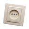Розетка скрытой установки STEKKER PST10-9009-02  на 1 гнездо, без заземления. Материал: ABS пластик/ 39235 - фото 76412