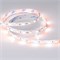 Светодиодная лента RT-B60-10mm 24V RGBW-Day (14.4 W/m, IP20, 5060, 5m) (Arlight, Открытый) 018326(2) - фото 80360