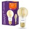 Лампа SMART Filament Classic Dimmable 55 6W E27 4058075528178 - фото 81607