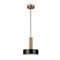 Светильник Подвесной   Freya Loft FR4008PL-01BBS MY_FR4008PL-01BBS
