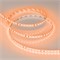 Светодиодная лента RT-A120-8mm 24V Orange (9.6 W/m, IP20, 2835, 5m) (Arlight, -) 015896(2) - фото 83308