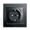 Розетка 1-местная с/з 250В, 16А с защитной шторкой и с USB, серия Эрна, PST16-9011-03, черный 39480 - фото 83620