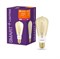 Лампа LEDVANCE SMART+ Filament Edison Dimmable 55 6W E27 4058075528192 - фото 85758