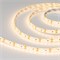 Светодиодная лента герметичная RTW-SE-A120-8mm 12V Warm3000 (9.6 W/m, IP65, 2835, 5m) 015730(2) - фото 86050