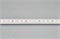 Светодиодная лента MICROLED-5000HP 24V White6000 8mm (2216, 120 LED/m, LUX) (Arlight, 14 Вт/м, IP20)  024424 - фото 86435