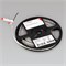Светодиодная лента RT-A120-8mm 24V Warm3000 CRI98 (9.6 W/m, IP20, 2835, 5m) (Arlight, Открытый) 027936(2) - фото 86888