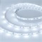 Светодиодная лента RT 2-5000 12V White6000 (5060, 150 LED, LUX) (Arlight, 7.2 Вт/м, IP20) 010595(B) - фото 87579