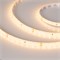 Светодиодная лента герметичная RTW-SE-A98-8mm 24V Warm3000 (10 W/m, IP65, 2835, 5m) (Arlight, -) 021877(2) - фото 87613