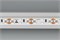 Светодиодная лента RS 2-5000 24V Day4000 2x2 8mm (3014, 240 LED/m, LUX) (Arlight, 14.4 Вт/м, IP20) 024465 - фото 87689