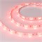 Светодиодная лента RTW 2-5000SE 12V Red (5060, 150 LED, LUX) (Arlight, 7.2 Вт/м, IP65) 016498 - фото 88378