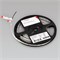 Светодиодная лента RT-A120-8mm 24V White6000 (14.4 W/m, IP20, 2835, 5m) (Arlight, Открытый)  015696(2) - фото 89085